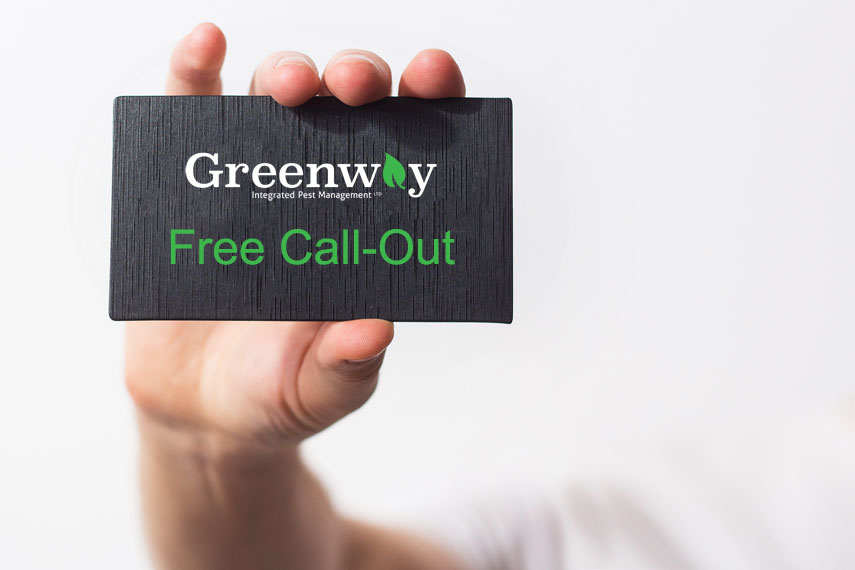 Free Call-Out