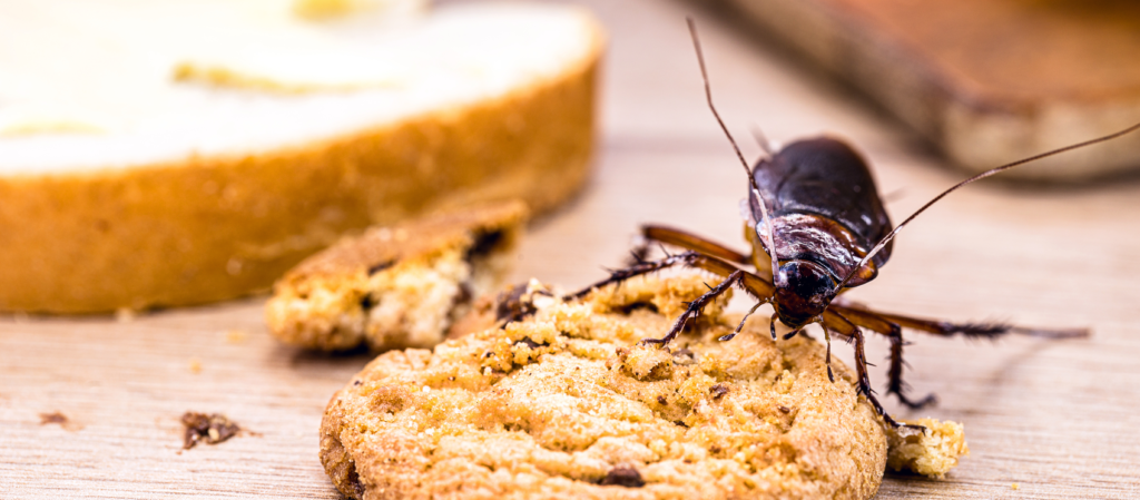 what is pest in food industry